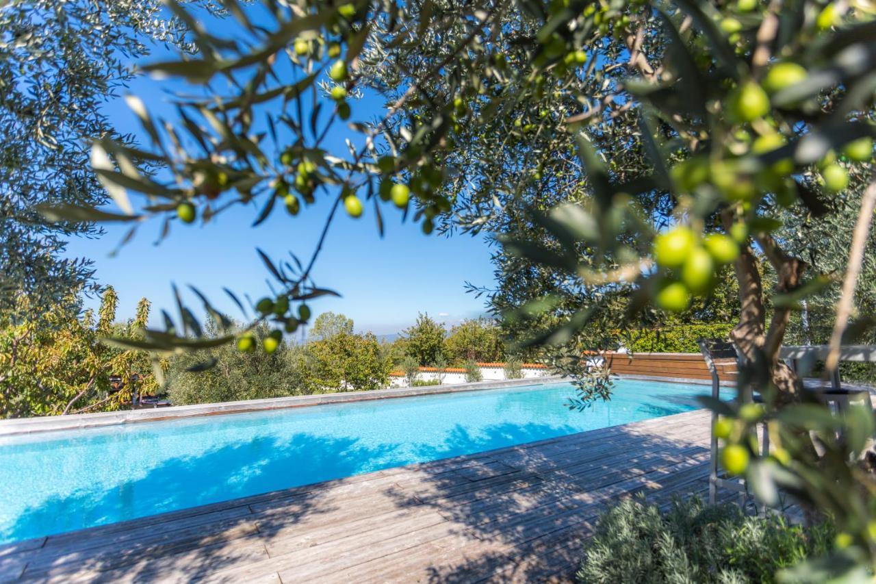 Villa Emi Zgornje Skofije ภายนอก รูปภาพ