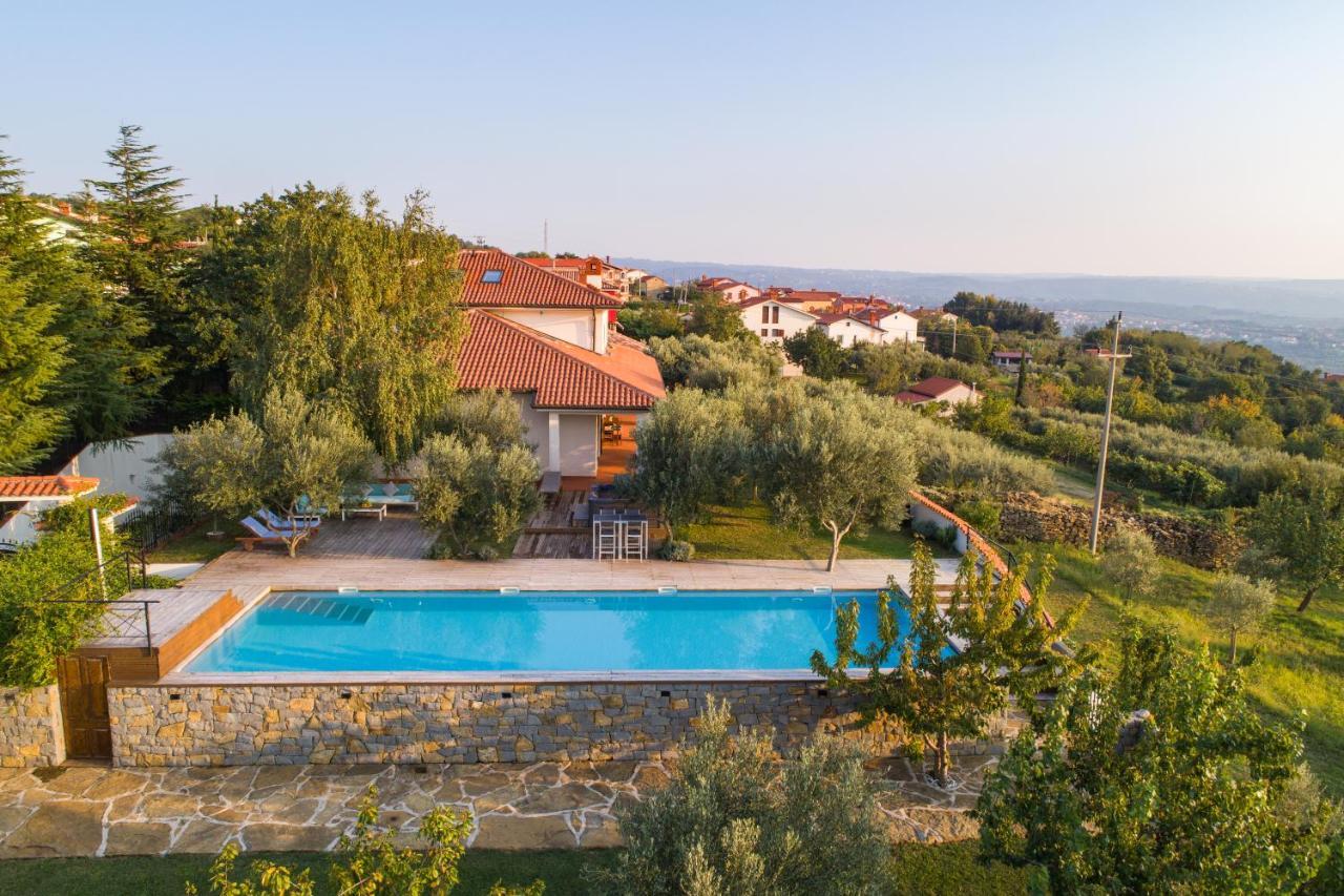 Villa Emi Zgornje Skofije ภายนอก รูปภาพ