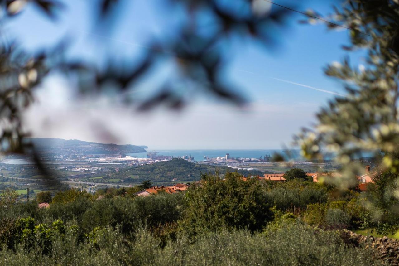 Villa Emi Zgornje Skofije ภายนอก รูปภาพ