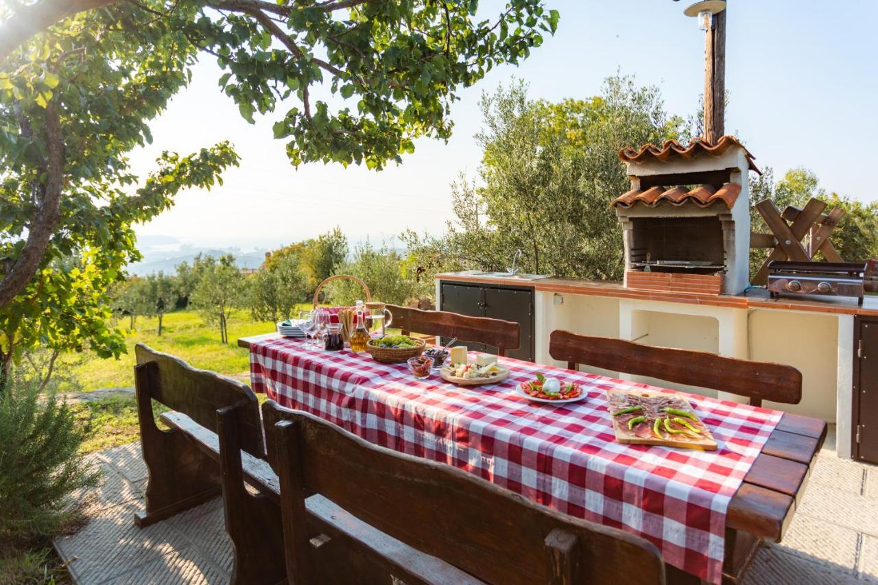 Villa Emi Zgornje Skofije ภายนอก รูปภาพ